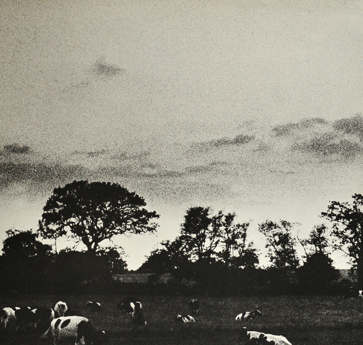 High Resolution Photo #3 PINK FLOYD Atom Heart Canada CA3 